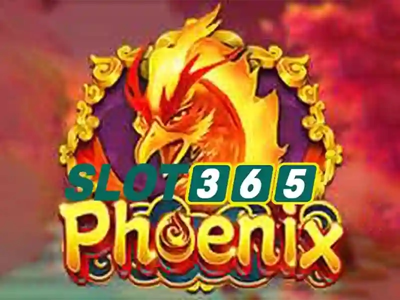 Tại sao chọn Slot365