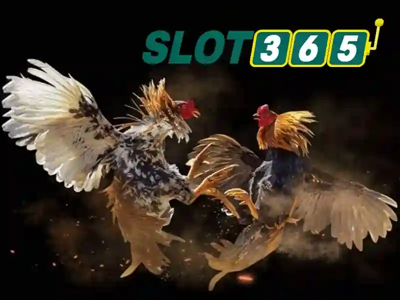Nguồn gốc và sứ mệnh của slot365