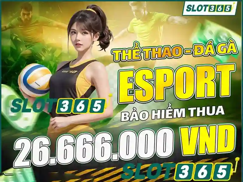 Nguồn gốc và sứ mệnh của slot365.