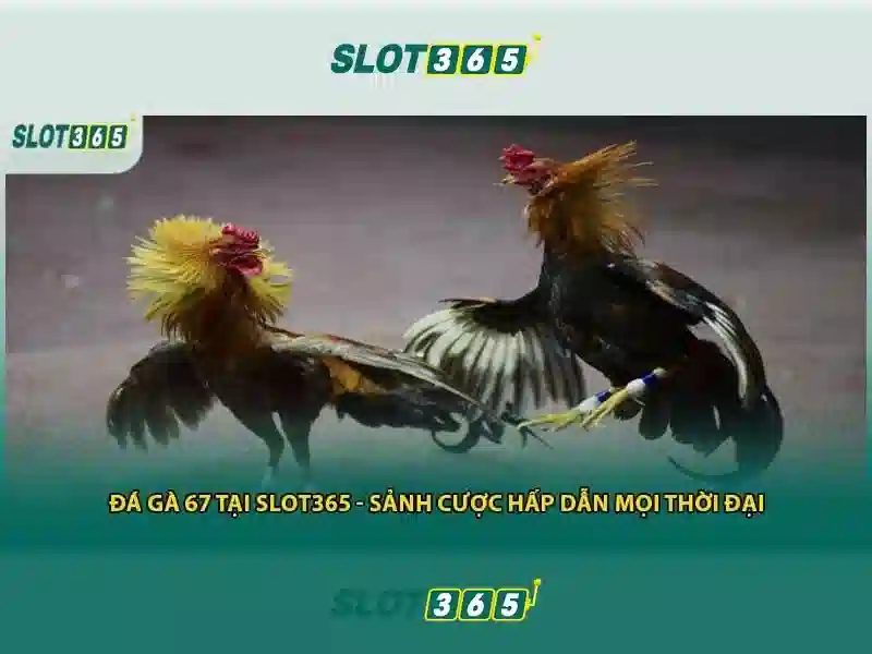 Slot365 - Nen tang slot truc tuyen hang dau<h2><b>Cac tinh nang noi bat cua Slot365</b></h2>
