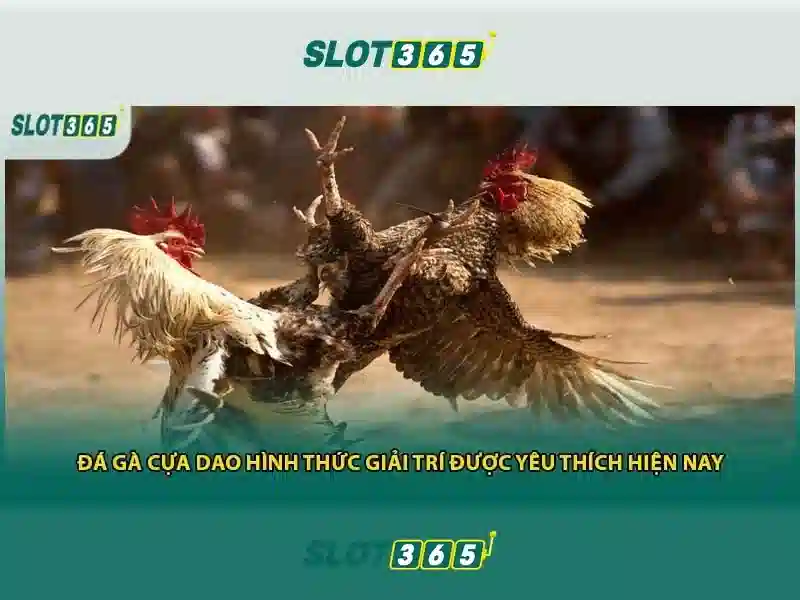 Giao diện người dùng thân thiện và trải nghiệm di động