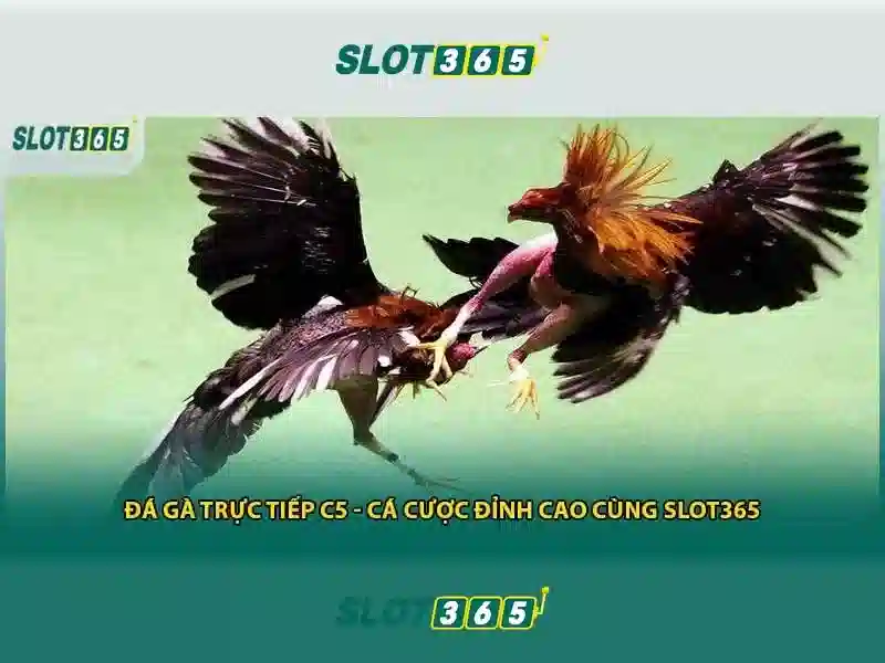 An toàn và bảo mật\n<h2><b>Làm thế nào để bắt đầu</b></h2>\n<p><span style=
