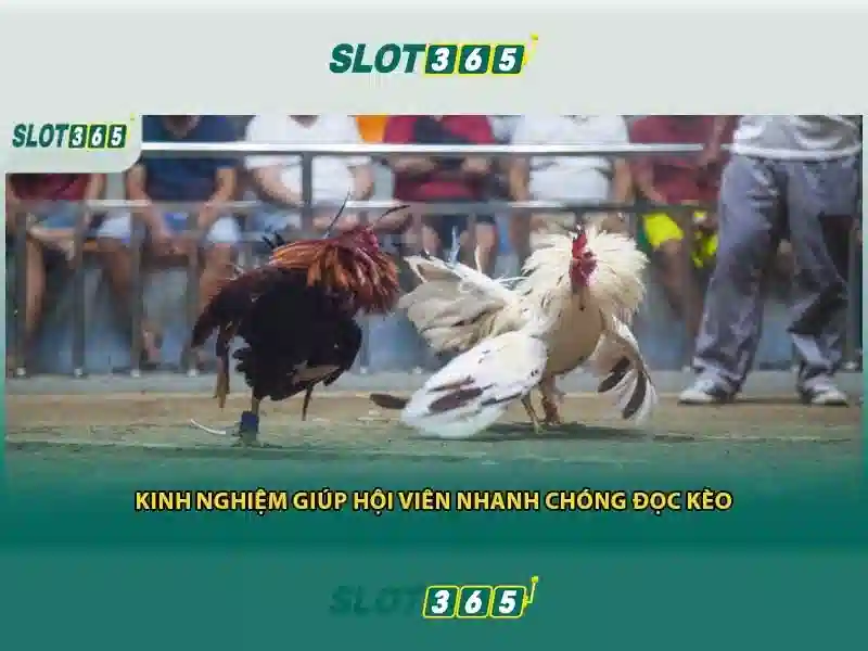 Nguồn gốc từ khóa và sứ mệnh của slot365 vip