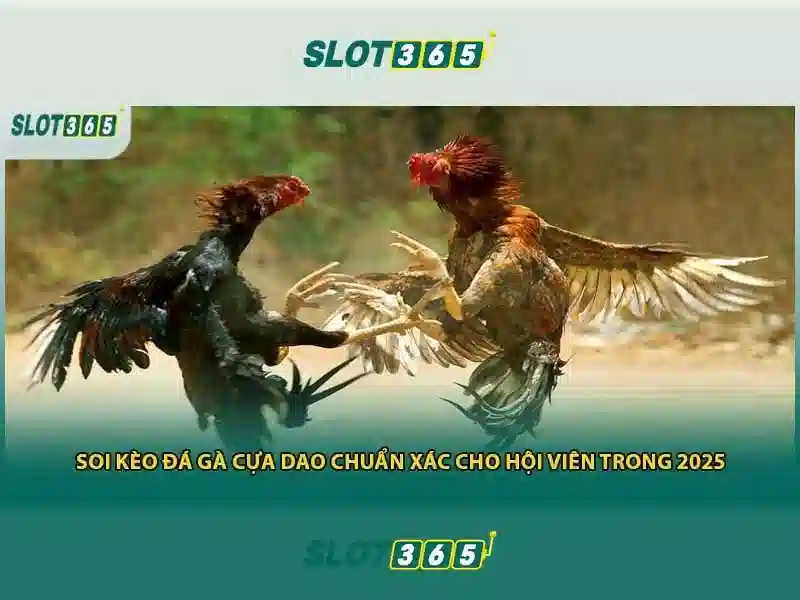 Hỗ trợ khách hàng và ưu đãi đặc biệt