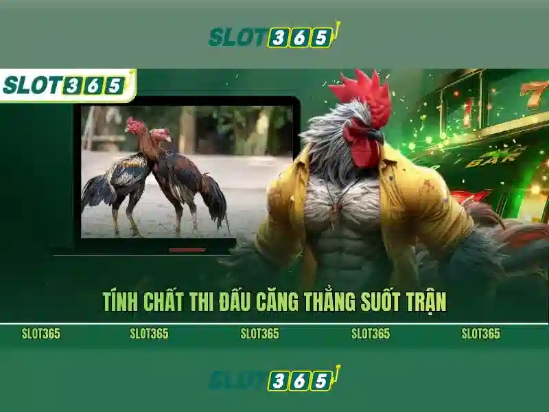 Thanh toán và bảo mật tại Slot365\n\n<h>Khởi đầu dễ dàng và các khuyến mãi hấp dẫn</h>\n<p><span style=