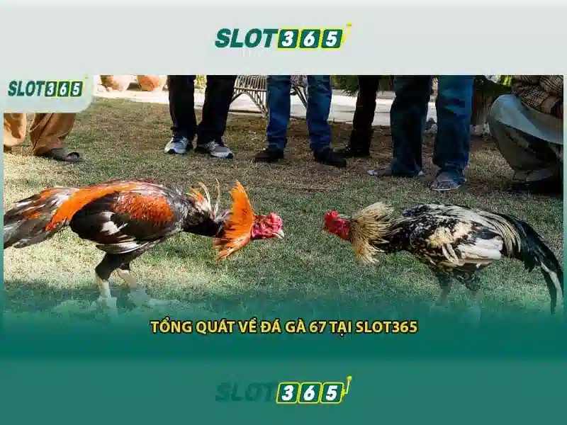 Ưu điểm của Slot365
