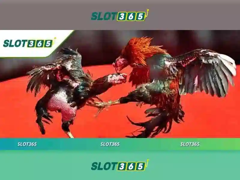 Slot365 - Đánh giá tổng quan<h>Giao diện và trải nghiệm người dùng</h><p><span style=
