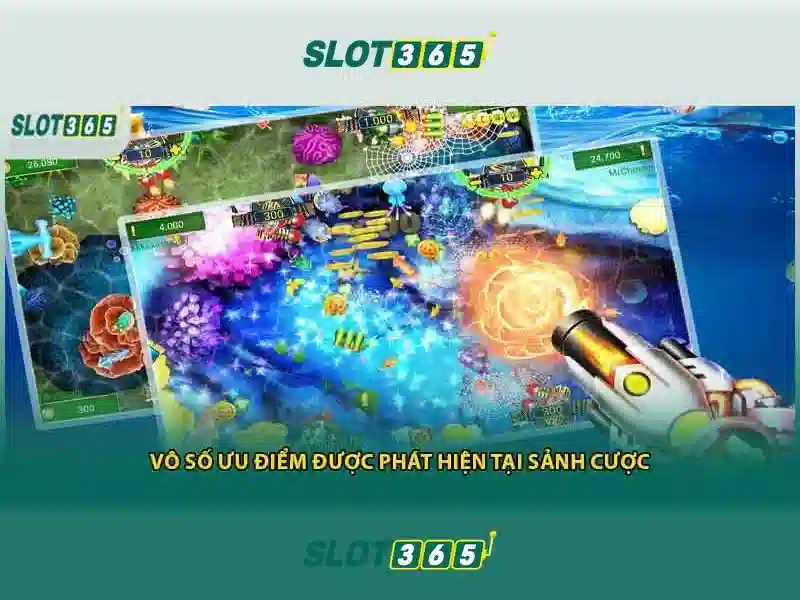 Trải nghiệm người dùng và giao diện