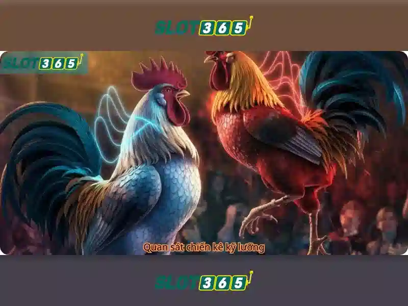 Ưu điểm nổi bật của Slot365