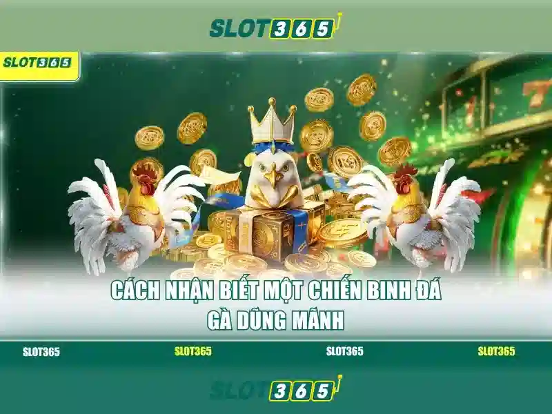Trò chơi slot nổi bật tại Slot365