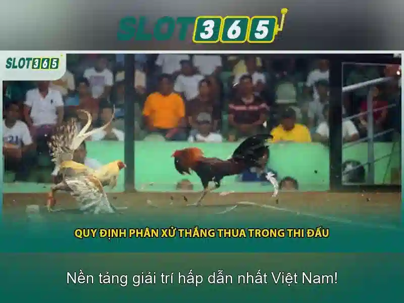 Giao diện người dùng và khả năng điều hướng