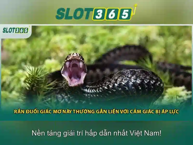đăng nhập Slot365 – Lợi thế và sức mạnh cạnh tranh