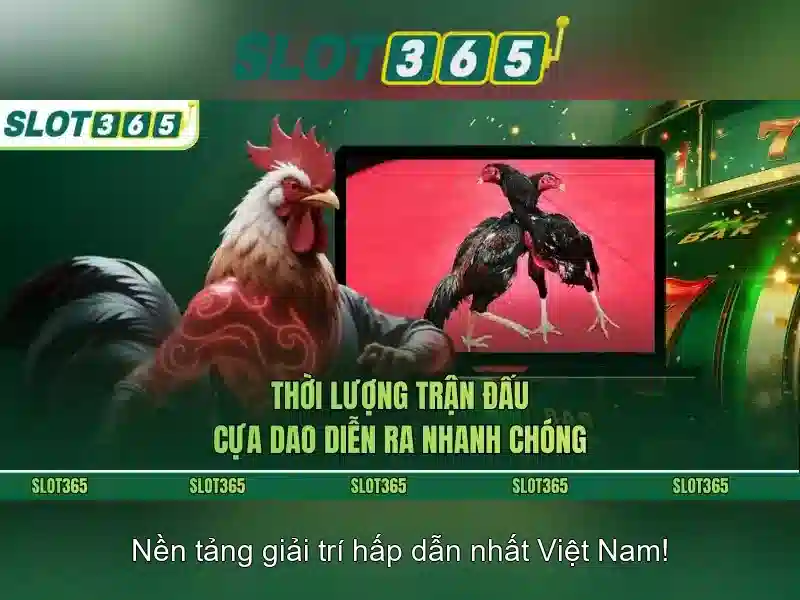 Ưu đãi Slot365 – Tổng quan và giá trị cốt lõi