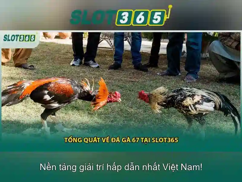 Khuyến mãi và cách nhận thưởng