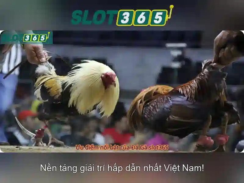 Giao diện người dùng thân thiện và đa ngôn ngữ