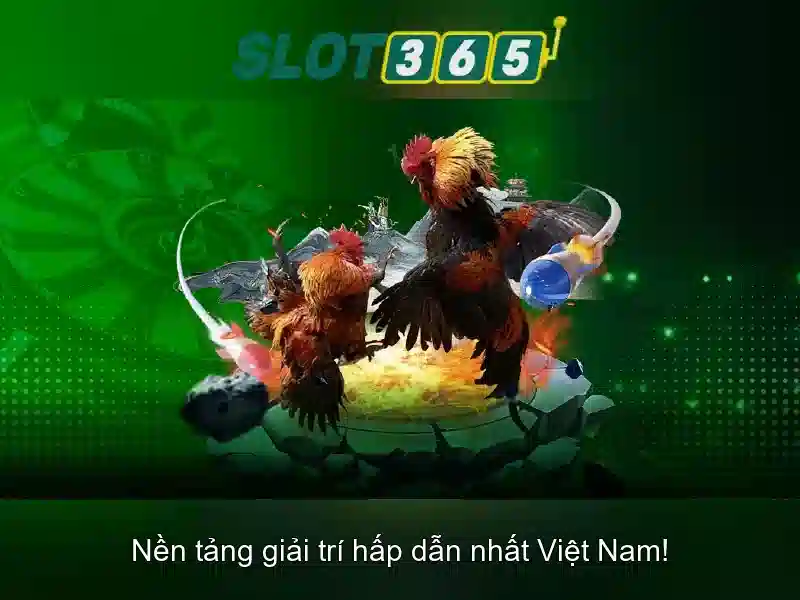 Khuyến mãi và chương trình thưởng hấp dẫn