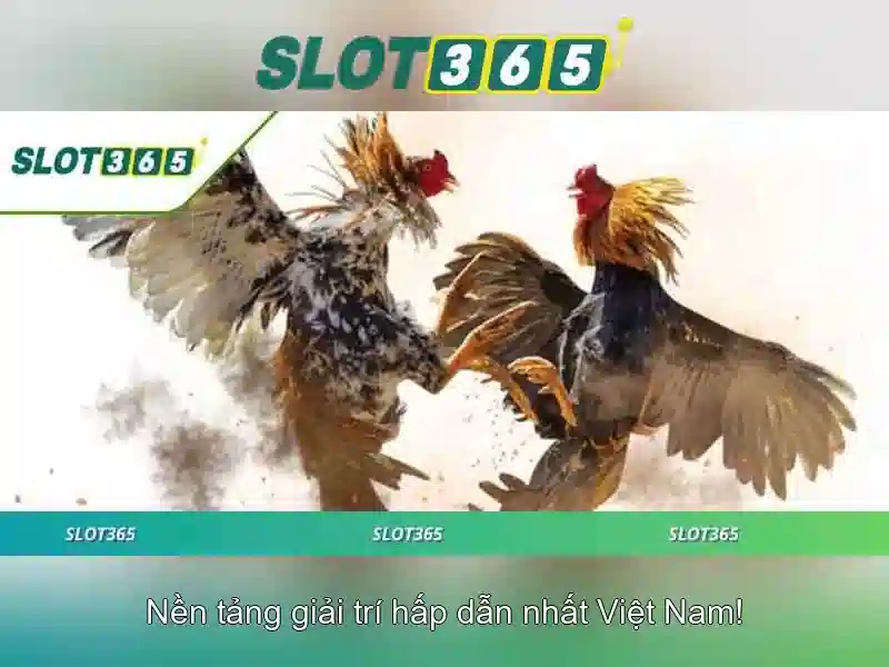An toàn và hỗ trợ