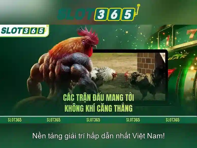 An toàn và chăm sóc khách hàng