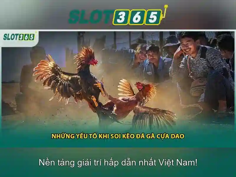 Lợi thế khi chơi tại Slot365