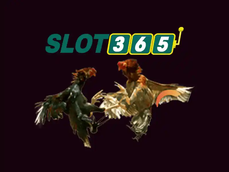 Giới thiệu về Slot365