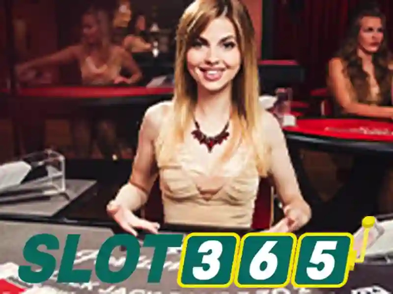 phiên bản mới Slot365 – Tổng quan chủ đề và Giá trị cốt lõi