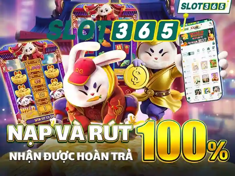HeyLink slot365 login – Mở khóa hành trình kết nối và trải nghiệm