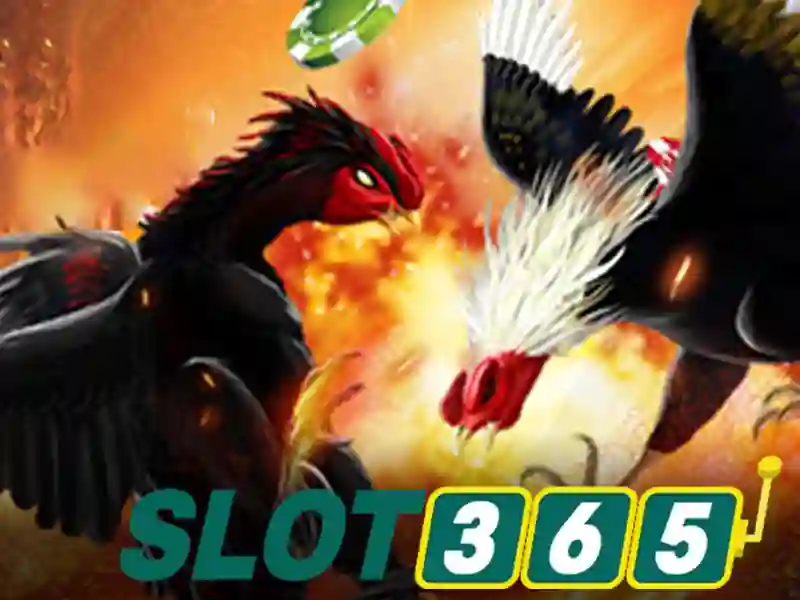 slot365-nghien-phan-ung