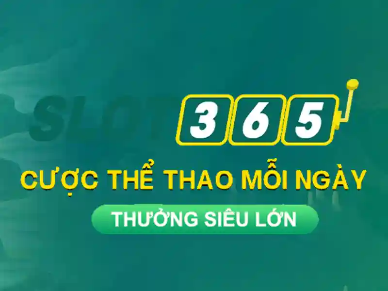 Giao diện người dùng và hiệu suất