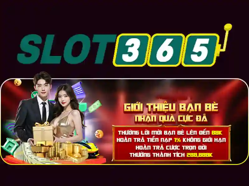 Giao diện và trải nghiệm người dùng