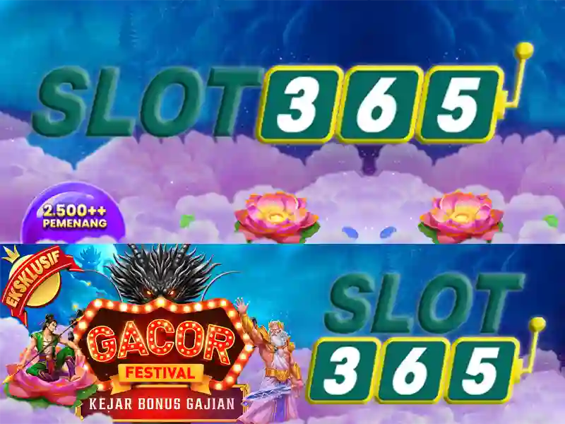Slot365 là gì và tại sao nó thu hút người chơi Việt Nam