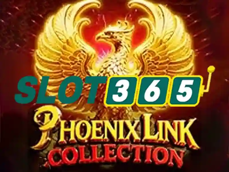 Hệ thống thu thập và mã hóa dữ liệu người chơi tại Slot365